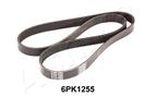 ASHIKA 112-6PK1255