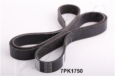 ASHIKA 112-7PK1750 EAN: 8033001464511.