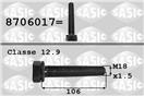 SASIC 8706017