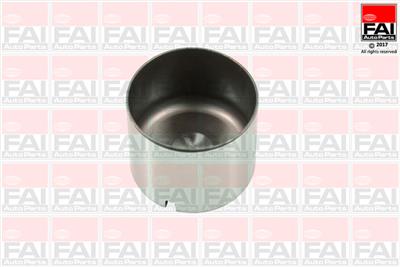FAI AutoParts BFS100S EAN: 5027049226630.