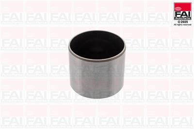 FAI AutoParts BFS556S