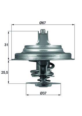 MAHLE ORIGINAL TX 25 80D Číslo výrobce: 2.114.80.312. EAN: 4250192927166.
