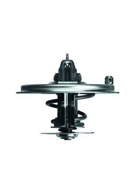 MAHLE ORIGINAL TX 36 85D Číslo výrobce: 2.396.85. EAN: 4250192932733.