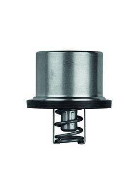 MAHLE ORIGINAL THD 1 79 Číslo výrobce: 2.409.79. EAN: 4250192925827.