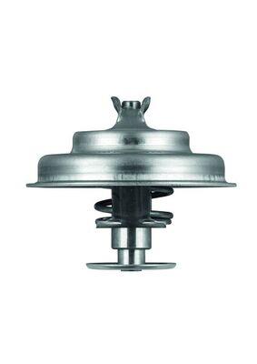 MAHLE ORIGINAL TX 75 80D Číslo výrobce: 6.124.80. EAN: 4250192917730.