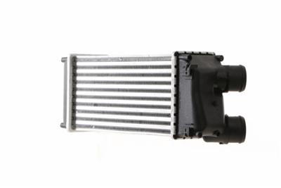 MAHLE ORIGINAL CI 166 000S Číslo výrobce: 8ML 376 746-154. EAN: 4057635063241.