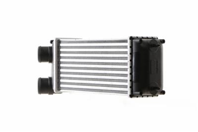 MAHLE ORIGINAL CI 166 000S Číslo výrobce: 8ML 376 746-154. EAN: 4057635063241.