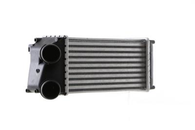 MAHLE ORIGINAL CI 166 000S Číslo výrobce: 8ML 376 746-154. EAN: 4057635063241.