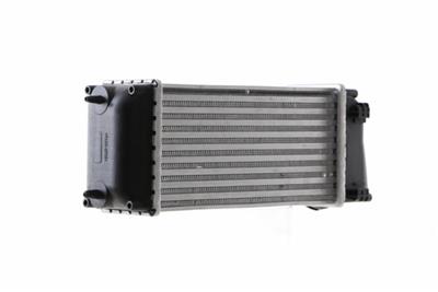 MAHLE ORIGINAL CI 166 000S Číslo výrobce: 8ML 376 746-154. EAN: 4057635063241.