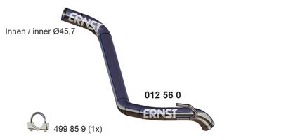 ERNST 012560