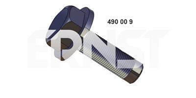 ERNST 490009