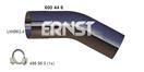 ERNST 600446