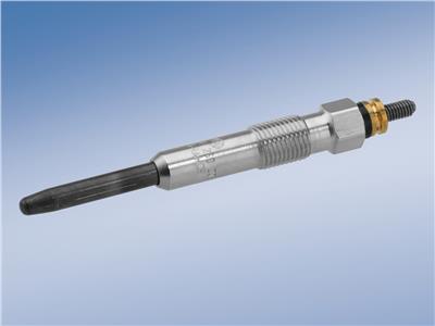 BOSCH 0 250 202 020 Číslo výrobce: GLP004. EAN: 3165143182086.