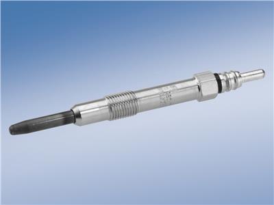 BOSCH 0 250 202 036 Číslo výrobce: GLP007. EAN: 3165143182307.