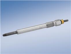 BOSCH 0 250 202 040 Duraterm