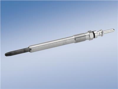 BOSCH 0 250 202 042 Číslo výrobce: GLP019. EAN: 3165143282281.