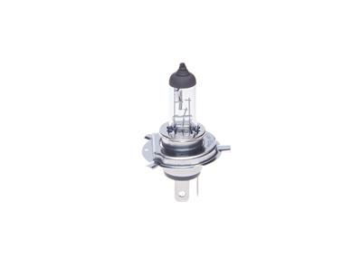 BOSCH 1 987 302 092 Číslo výrobce: H19. EAN: 4047026343847.