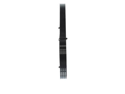 BOSCH 1 987 946 029 Číslo výrobce: 6 PK 1605. EAN: 3165143170687.