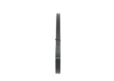 BOSCH 1 987 946 298 Číslo výrobce: 6 PK 955. EAN: 4047025161022.