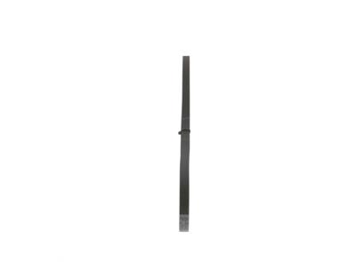 BOSCH 1 987 947 808 Číslo výrobce: 4 PK 954. EAN: 3165141183078.