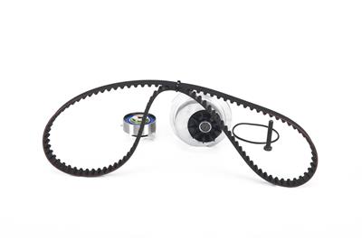 BOSCH 1 987 948 733 Číslo výrobce: WASSERPUMPEN-SET. EAN: 4047025517959.