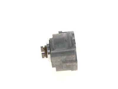 BOSCH F 009 D00 210 Číslo výrobce: POMPA DEL VUOTO; Assieme D156. EAN: 4047024820524.