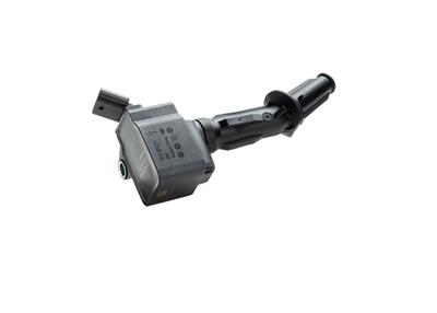 BOSCH F 01R 00A 123