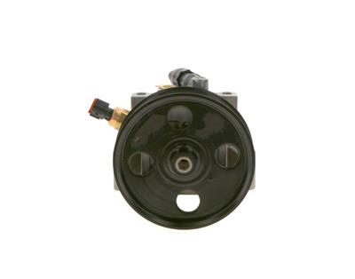 BOSCH K S00 000 098 EAN: 4047025441469.
