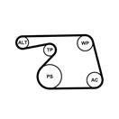 CONTITECH 6PK1318WP1