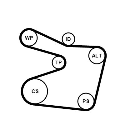 CONTITECH 6PK1555K1 Číslo výrobce: 6PK1555. EAN: 4010858579456.