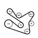 CONTITECH 7PK1570WP1