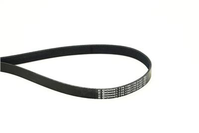 CONTITECH 7PK1195 ELAST Číslo výrobce: 7 PK 1195. EAN: 4010858987725.