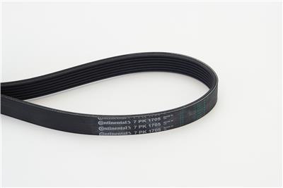 CONTITECH 7PK1705 Číslo výrobce: 7 PK 1703. EAN: 4010858521493.