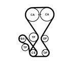 CONTITECH CT1000K2PRO