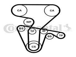 CONTITECH CT877K5PRO