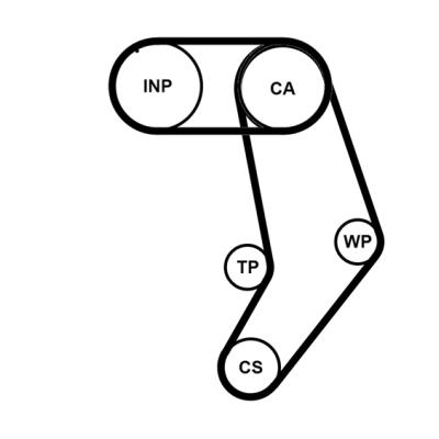 CONTITECH CT939K6PRO Číslo výrobce: CT 939. EAN: 4010858007188.