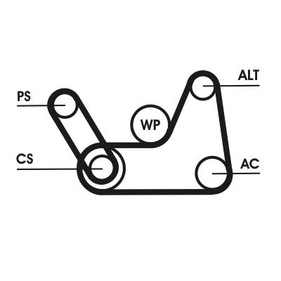 CONTITECH 6PK1019 ELAST T1 Číslo výrobce: 5 PK  690. EAN: 4010858507886.