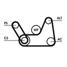 CONTITECH 6PK1019 ELAST T1