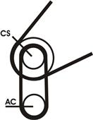 CONTITECH 5PK716 ELAST T1