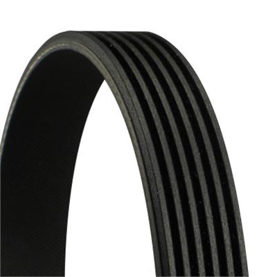 CONTITECH 6PK2220 EXTRA EAN: 4010858468262.