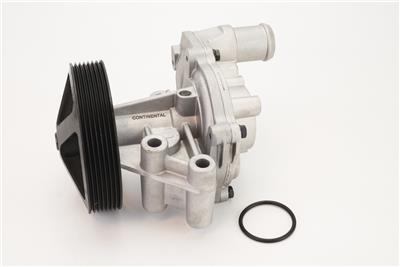 CONTITECH WPS3081 EAN: 4010858998189.