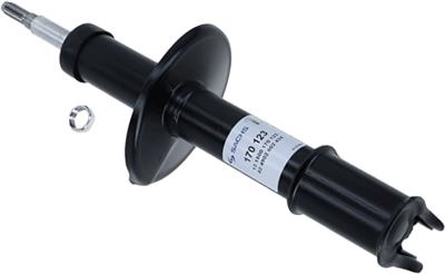 SACHS 170 123 EAN: 4013872098439.