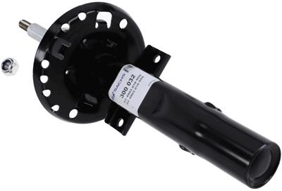 SACHS 300 032 EAN: 4013872437894.