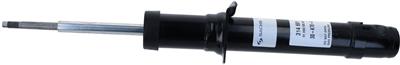 SACHS 314 691 EAN: 4013872778775.