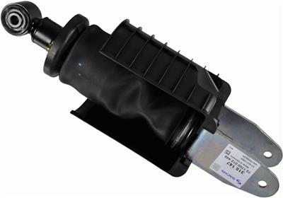 SACHS 315 147 EAN: 4013872869978.