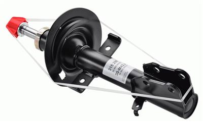 SACHS 315 298 EAN: 4013872833702.