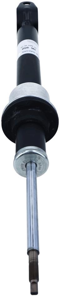 SACHS 316 950 EAN: 4013872891917.