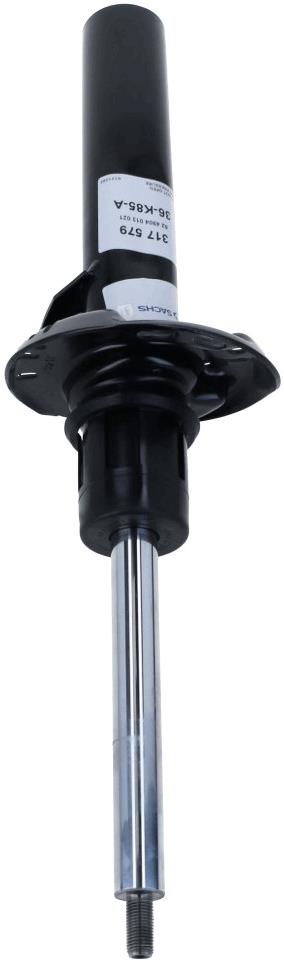 SACHS 317 579 EAN: 4013872967810.