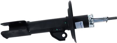 SACHS 318 008 EAN: 4013872944613.