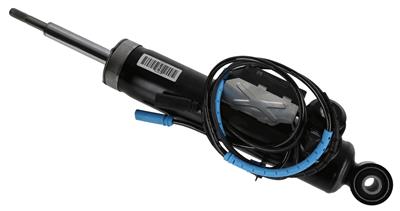 SACHS 319 118 EAN: 4059923075875.